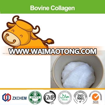 Nutraceutical HALAL hydrolyzed bovine collagen powder